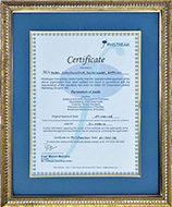 Certificate Award - Parameter of Audit - 2008