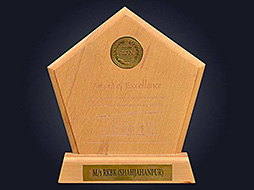 Gold Circle - Award of Excellence Outstanding Performence During 2007 - 08 - Shahajanpur